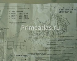 2901056100 Набор уплотнения вала 2 С55 2901056100